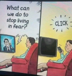 45049