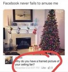 IMG_7725.jpeg