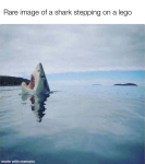 45314