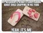 45370