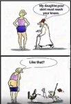 IMG_7828.jpeg