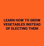 vegetables.jpg
