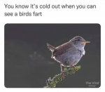 45715