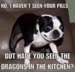 IMG_7998.jpeg