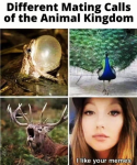 45766