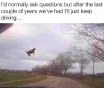 45864