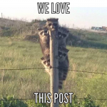 45866