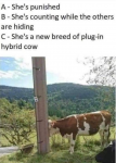 45867