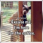 IMG_8140.jpeg