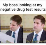 46556