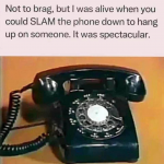 46559