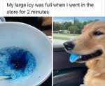 46560