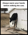 46569