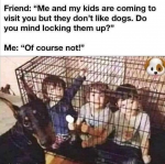 46640
