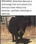 46669