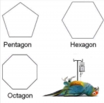 46677