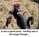 46769