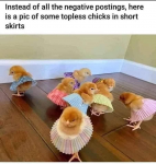47138