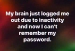 47233