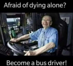 47253