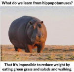 47375