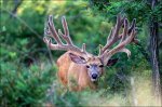 IMG_0227.jpeg