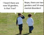 47464