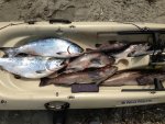 kayak salmon.jpg