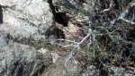 IMG_20131019_124833_413.jpg