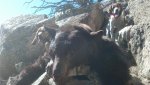 IMG_20131019_124602_078.jpg