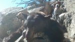 IMG_20131019_124604_494.jpg