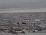 100_0311.jpg
