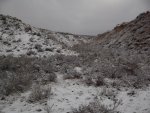 100_0314.jpg