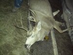 100_0304.jpg