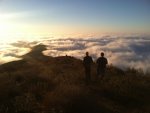 IMG_4954.jpg
