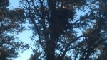 IMG_20131027_090819_054.jpg
