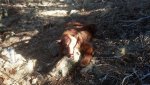 IMG_20131027_092946_838.jpg
