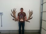 Moose 1.jpg