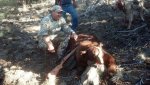 IMG_20131027_093100_986.jpg