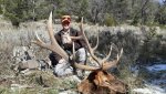 Oct 2013 Bull Sideview 1.jpg