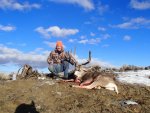 89 Deer.jpg