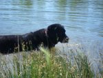 Molly fishing on the pond (2).jpg