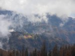 DSCN0783.jpg