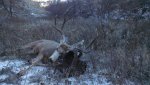 IMG_20131122_150412_017.jpg