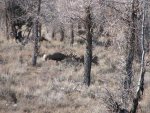 IMG_3555.jpg