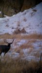 VIDEO0022_0000066970.jpg