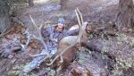 13 10 04 Elk Hunt 21.jpg