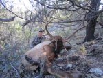 AZ_Elk_Hunt_2013 011.jpg