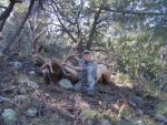 AZ_Elk_Hunt_2013 013.jpg