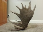 20131105_221826.jpg